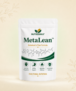 MetaLean
